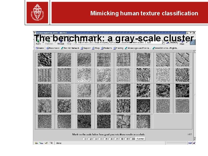 Mimicking human texture classification The benchmark: a gray-scale cluster 