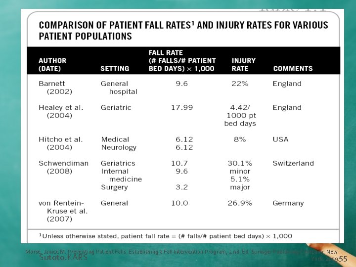 Morse, Janice M. . Preventing Patient Falls. Establishing a Fall Intervention Program, 2 nd