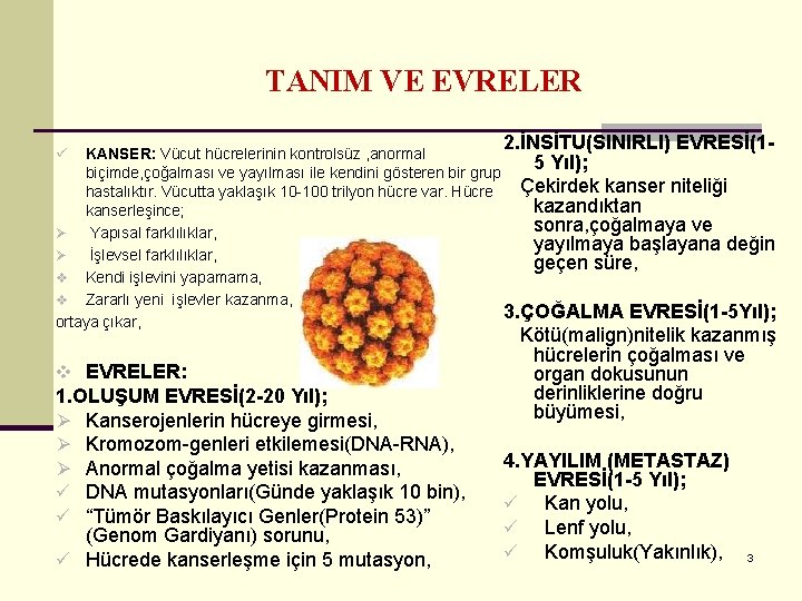 TANIM VE EVRELER 2. İNSİTU(SINIRLI) EVRESİ(1 - KANSER: Vücut hücrelerinin kontrolsüz , anormal 5