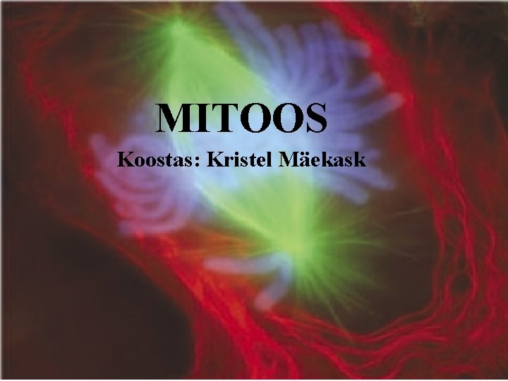 MITOOS Koostas: Kristel Mäekask 