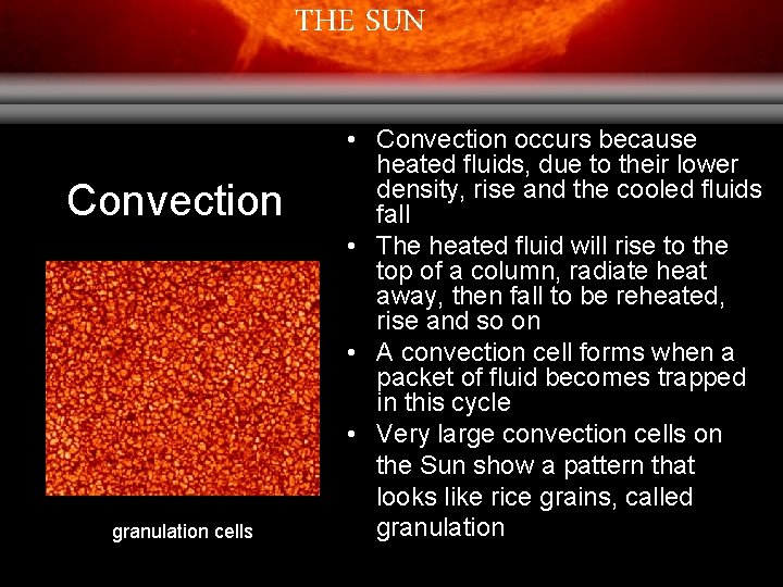 THE SUN Convection granulation cells • Convection occurs because heated fluids, due to their