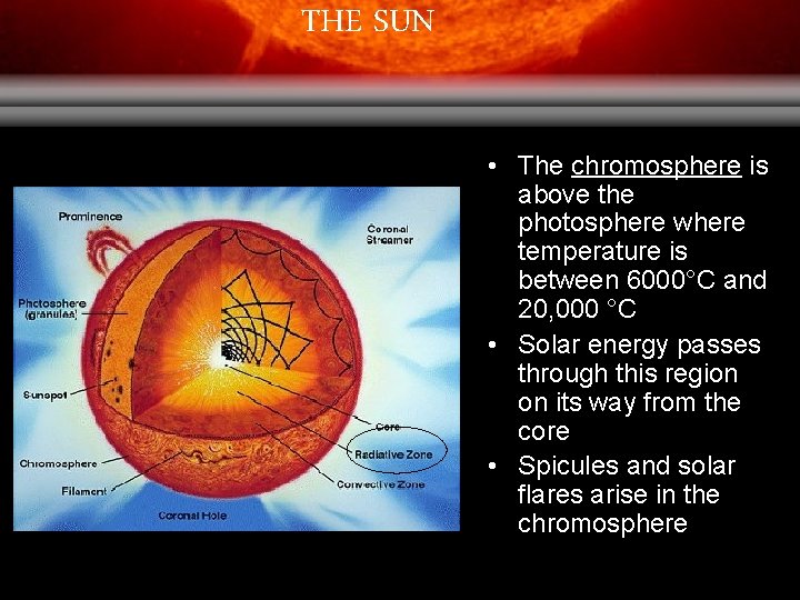 THE SUN • The chromosphere is above the photosphere where temperature is between 6000°C