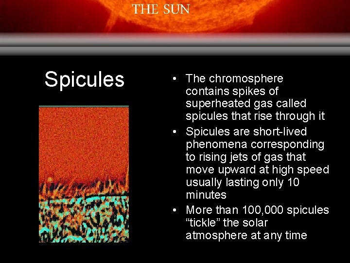 THE SUN Spicules • The chromosphere contains spikes of superheated gas called spicules that