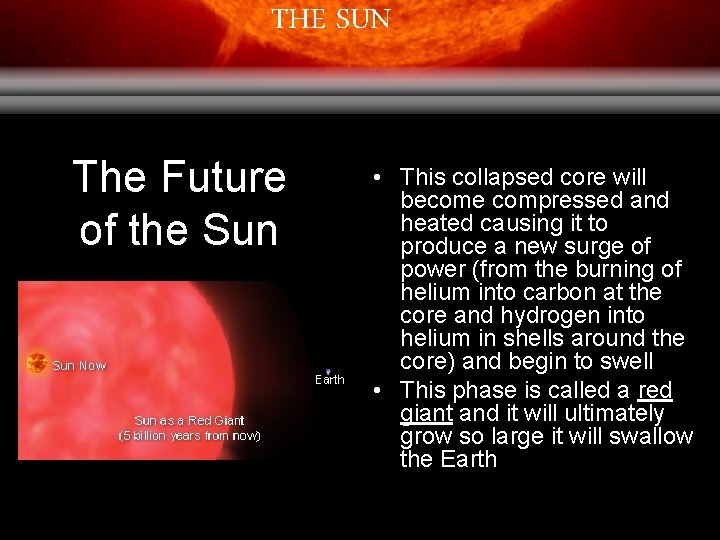 THE SUN The Future of the Sun • This collapsed core will become compressed