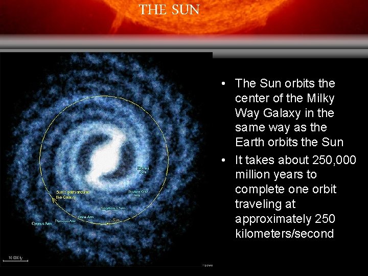 THE SUN • The Sun orbits the center of the Milky Way Galaxy in