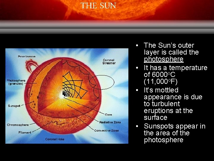 THE SUN • The Sun’s outer layer is called the photosphere • It has