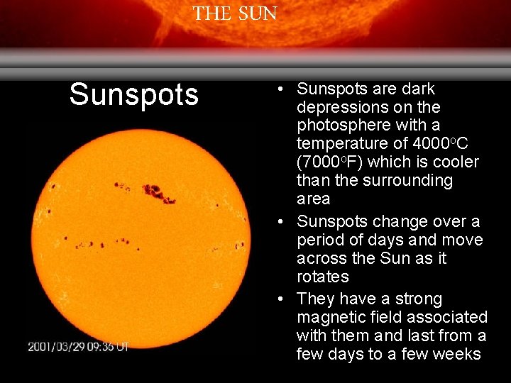 THE SUN Sunspots • Sunspots are dark depressions on the photosphere with a temperature