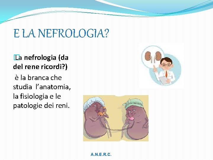  E LA NEFROLOGIA? � La nefrologia (da del rene ricordi? ) è la