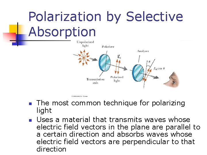 Polarization by Selective Absorption n n The most common technique for polarizing light Uses