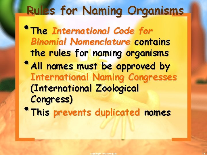 Rules for Naming Organisms • The International Code for Binomial Nomenclature contains the rules