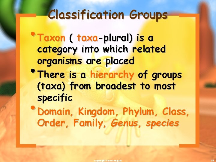 Classification Groups • Taxon ( taxa-plural) is a category into which related organisms are