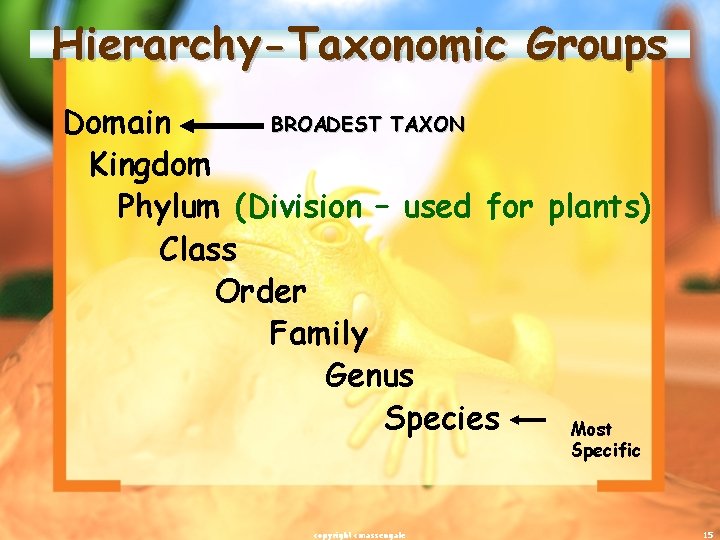 Hierarchy-Taxonomic Groups BROADEST TAXON Domain Kingdom Phylum (Division – used for plants) Class Order