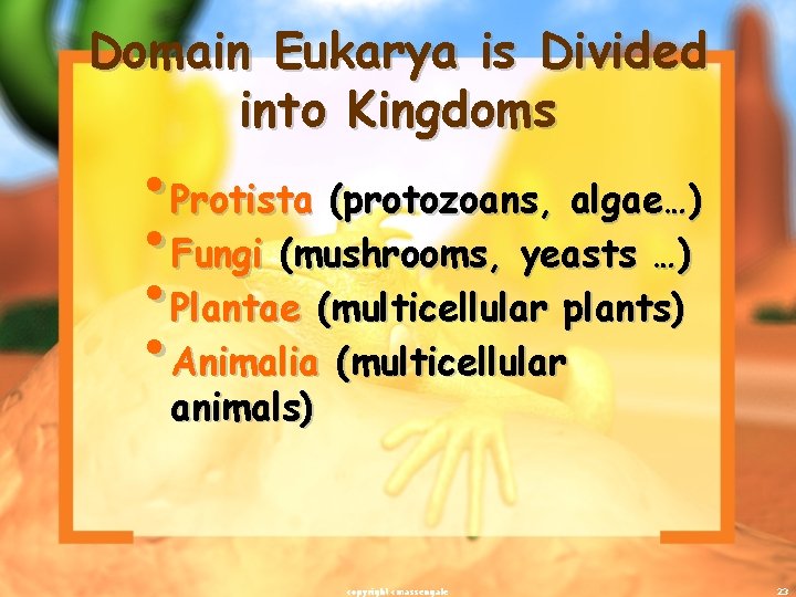 Domain Eukarya is Divided into Kingdoms • Protista (protozoans, algae…) • Fungi (mushrooms, yeasts