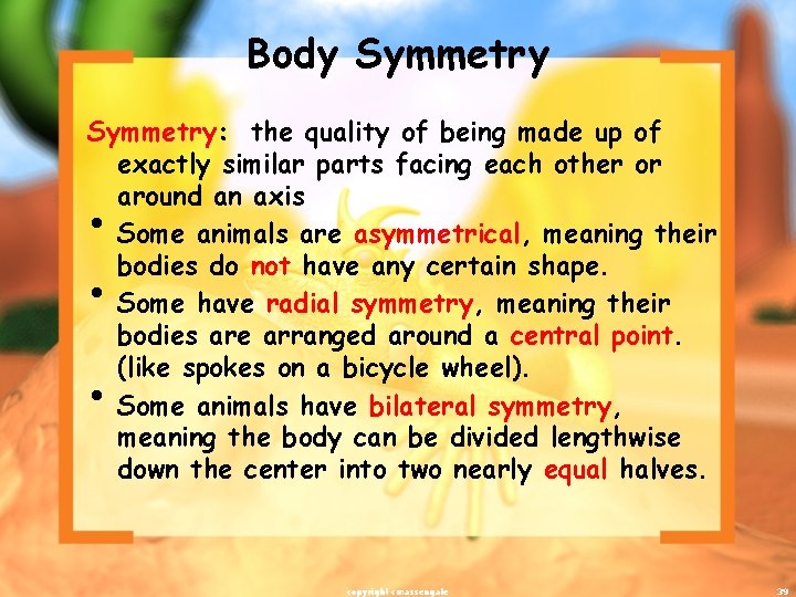 Body Symmetry: the quality of being made up of exactly similar parts facing each