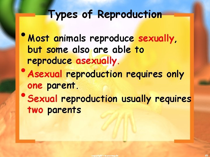 Types of Reproduction • Most animals reproduce sexually, • • but some also are