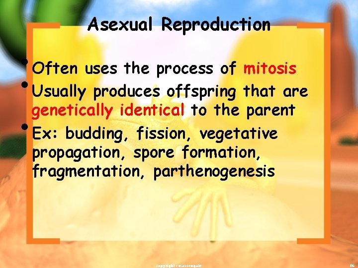 Asexual Reproduction • Often uses the process of mitosis • Usually produces offspring that