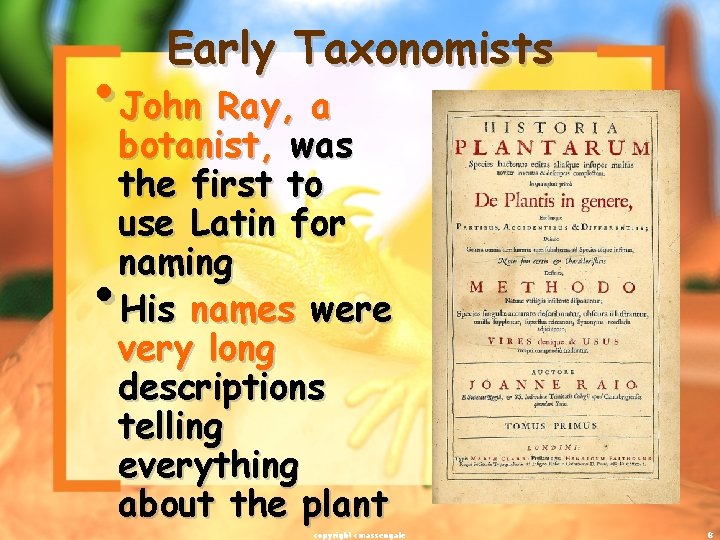 Early Taxonomists • John Ray, a botanist, was the first to use Latin for