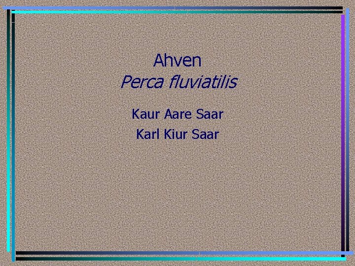 Ahven Perca fluviatilis Kaur Aare Saar Karl Kiur Saar 