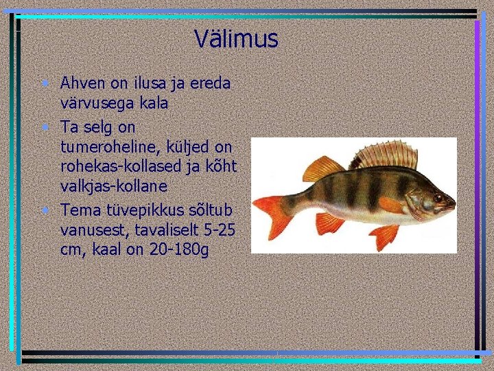 Välimus • Ahven on ilusa ja ereda värvusega kala • Ta selg on tumeroheline,