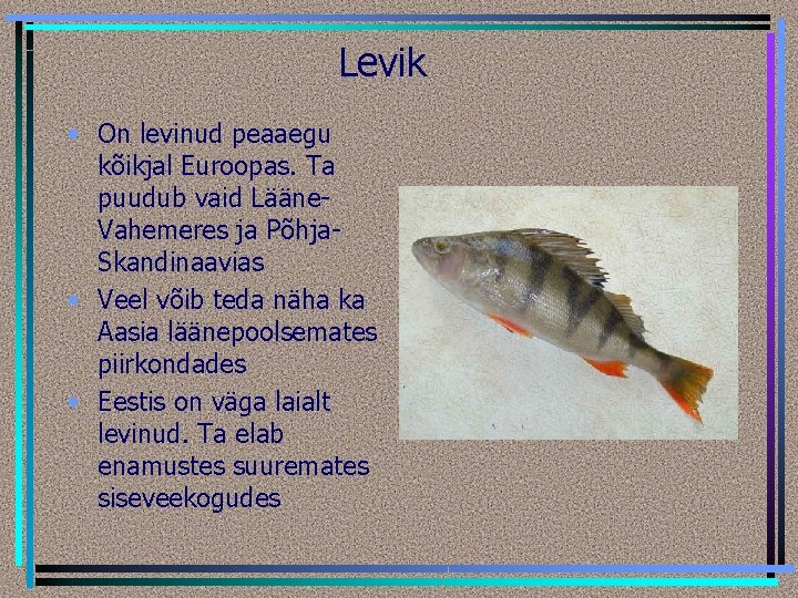 Levik • On levinud peaaegu kõikjal Euroopas. Ta puudub vaid Lääne. Vahemeres ja Põhja.