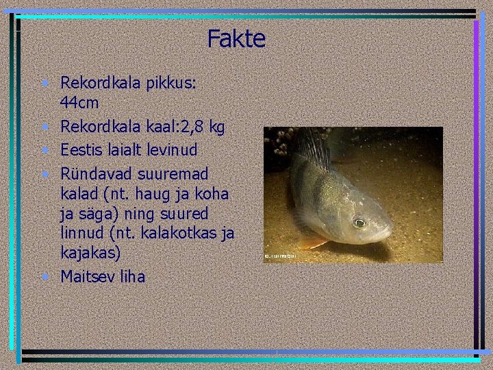 Fakte • Rekordkala pikkus: 44 cm • Rekordkala kaal: 2, 8 kg • Eestis