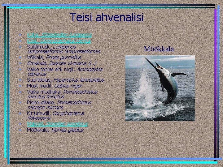 Teisi ahvenalisi • • • • Koha, Stizostedion lucioperca Kiisk, Gymnocephalus cernus Suttlimusk, Lumpenus