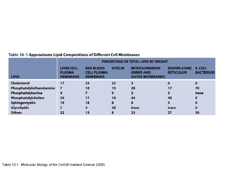 Table 10 -1 Molecular Biology of the Cell (© Garland Science 2008) 