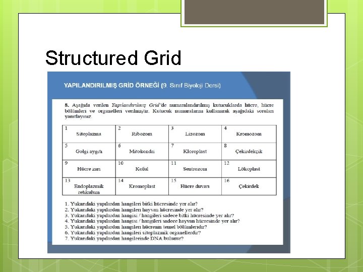 Structured Grid 