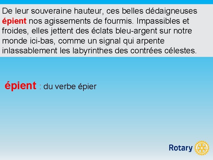 De leur souveraine hauteur, ces belles dédaigneuses épient nos agissements de fourmis. Impassibles et