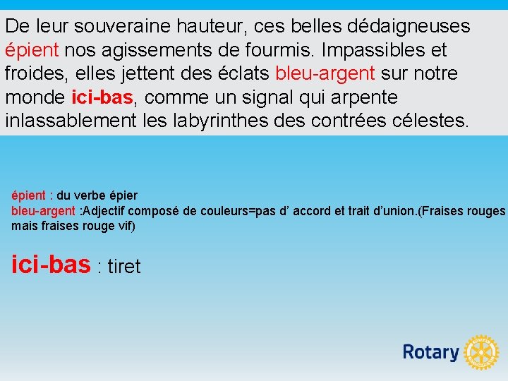 De leur souveraine hauteur, ces belles dédaigneuses épient nos agissements de fourmis. Impassibles et