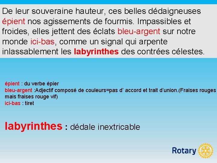 De leur souveraine hauteur, ces belles dédaigneuses épient nos agissements de fourmis. Impassibles et