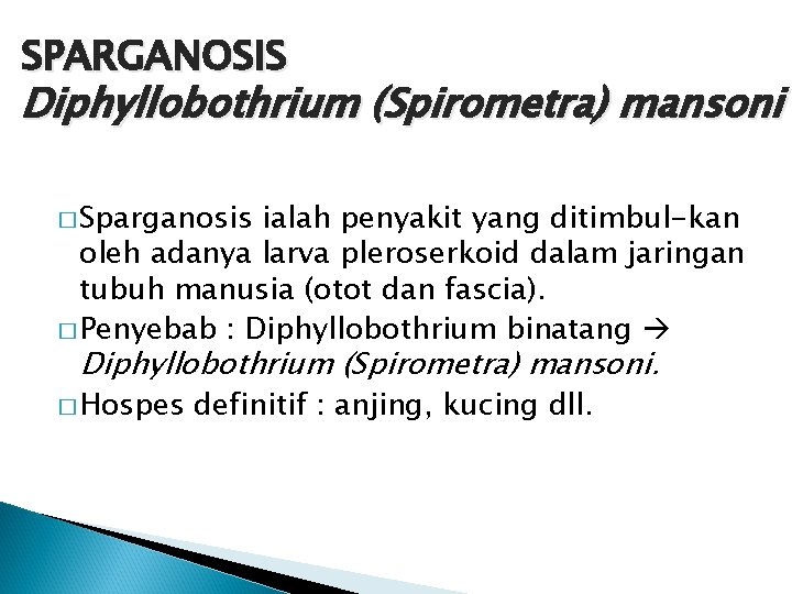 SPARGANOSIS Diphyllobothrium (Spirometra) mansoni � Sparganosis ialah penyakit yang ditimbul-kan oleh adanya larva pleroserkoid SPARGANOSIS Diphyllobothrium (Spirometra) mansoni � Sparganosis ialah penyakit yang ditimbul-kan oleh adanya larva pleroserkoid