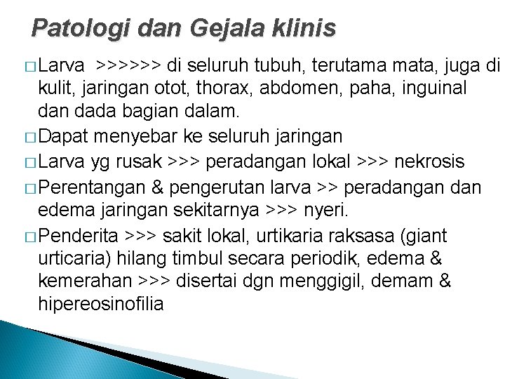 Patologi dan Gejala klinis � Larva >>>>>> di seluruh tubuh, terutama mata, juga di Patologi dan Gejala klinis � Larva >>>>>> di seluruh tubuh, terutama mata, juga di
