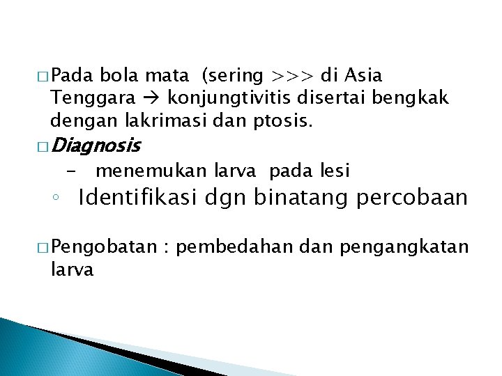 � Pada bola mata (sering >>> di Asia Tenggara konjungtivitis disertai bengkak dengan lakrimasi � Pada bola mata (sering >>> di Asia Tenggara konjungtivitis disertai bengkak dengan lakrimasi