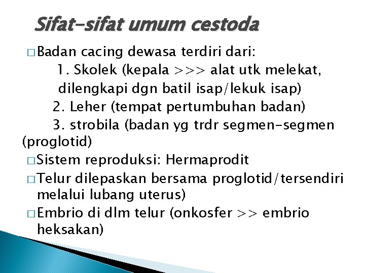 Sifat-sifat umum cestoda � Badan cacing dewasa terdiri dari: 1. Skolek (kepala >>> alat Sifat-sifat umum cestoda � Badan cacing dewasa terdiri dari: 1. Skolek (kepala >>> alat