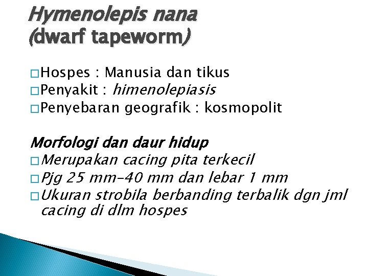 Hymenolepis nana (dwarf tapeworm) �Hospes : Manusia dan tikus �Penyakit : himenolepiasis �Penyebaran geografik Hymenolepis nana (dwarf tapeworm) �Hospes : Manusia dan tikus �Penyakit : himenolepiasis �Penyebaran geografik