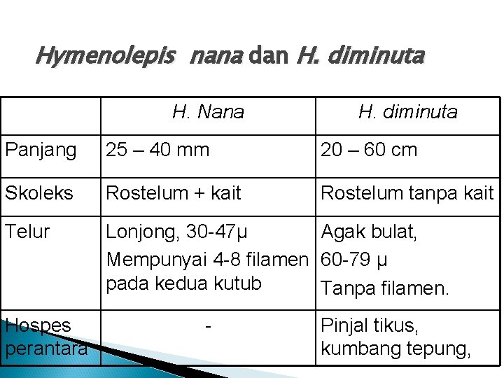 Hymenolepis nana dan H. diminuta H. Nana H. diminuta Panjang 25 – 40 mm Hymenolepis nana dan H. diminuta H. Nana H. diminuta Panjang 25 – 40 mm