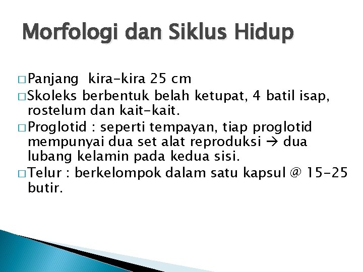 Morfologi dan Siklus Hidup � Panjang kira-kira 25 cm � Skoleks berbentuk belah ketupat, Morfologi dan Siklus Hidup � Panjang kira-kira 25 cm � Skoleks berbentuk belah ketupat,
