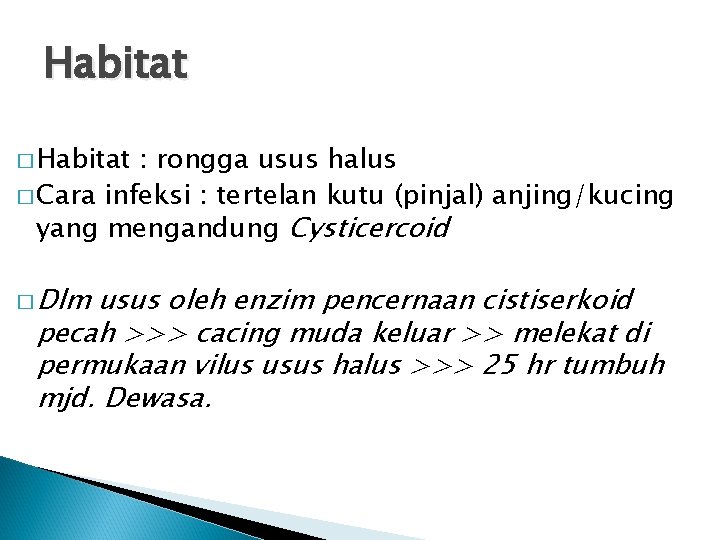 Habitat � Habitat : rongga usus halus � Cara infeksi : tertelan kutu (pinjal) Habitat � Habitat : rongga usus halus � Cara infeksi : tertelan kutu (pinjal)