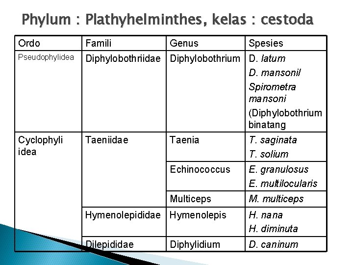 Phylum : Plathyhelminthes, kelas : cestoda Ordo Famili Genus Spesies Pseudophylidea Diphylobothriidae Diphylobothrium D. Phylum : Plathyhelminthes, kelas : cestoda Ordo Famili Genus Spesies Pseudophylidea Diphylobothriidae Diphylobothrium D.