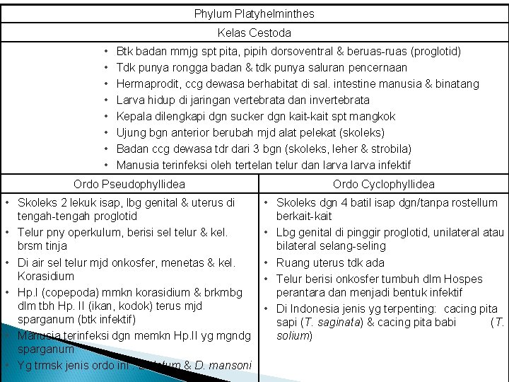 Phylum Platyhelminthes Kelas Cestoda • • Btk badan mmjg spt pita, pipih dorsoventral & Phylum Platyhelminthes Kelas Cestoda • • Btk badan mmjg spt pita, pipih dorsoventral &