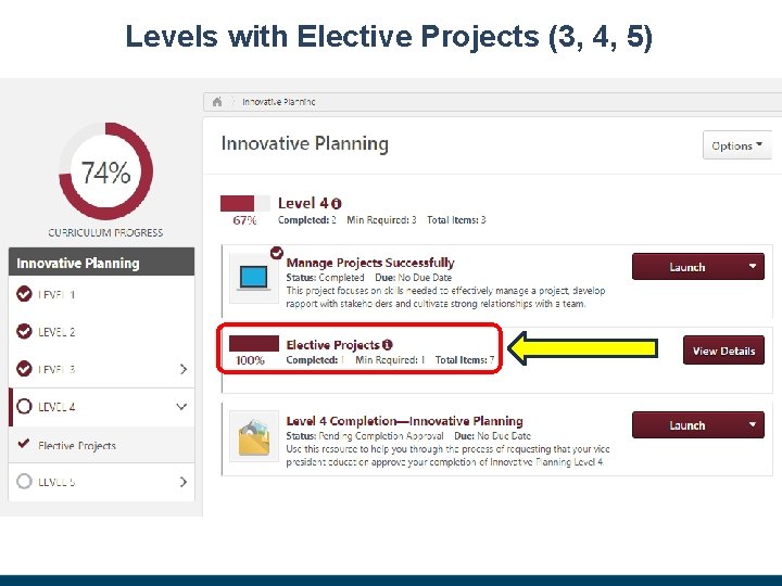 Levels with Elective Projects (3, 4, 5) 