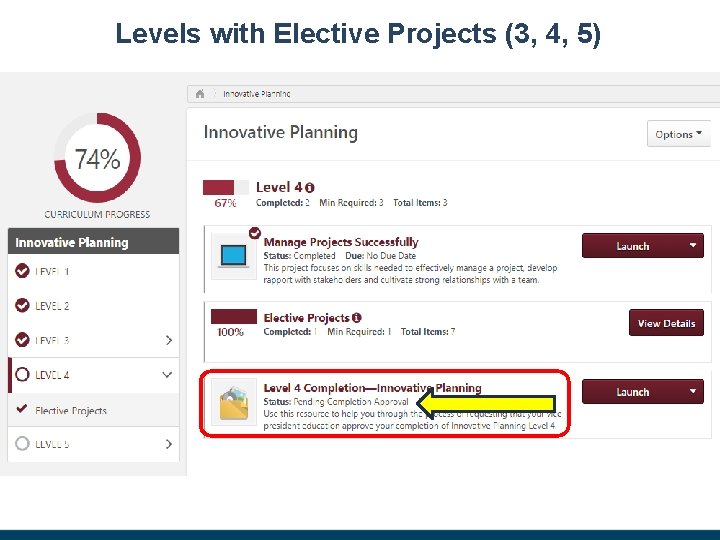 Levels with Elective Projects (3, 4, 5) 