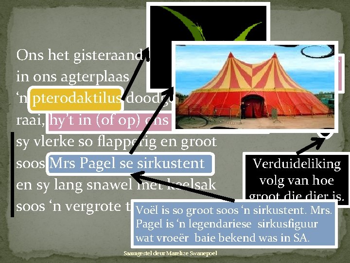 Ons het gisteraand BAIE GROOT in ons agterplaas DIER ‘n pterodaktilus doodgemaak; raai, hy’t