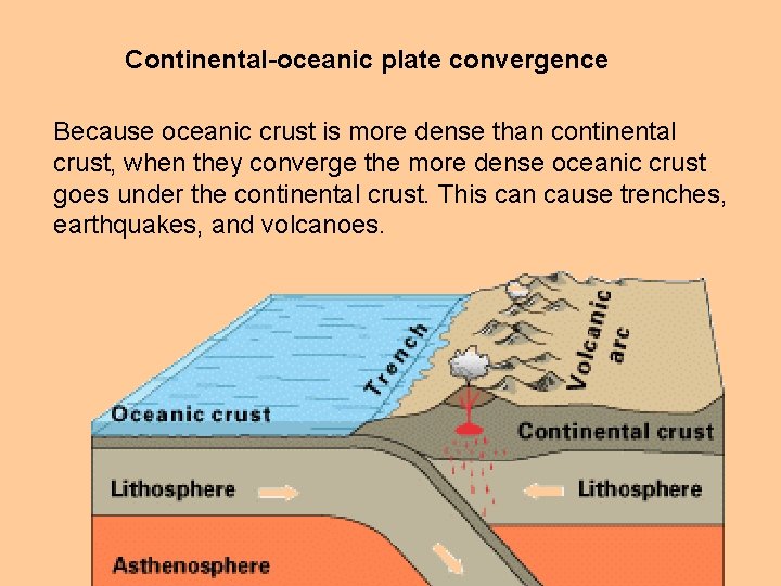 Continental-oceanic plate convergence Because oceanic crust is more dense than continental crust, when they