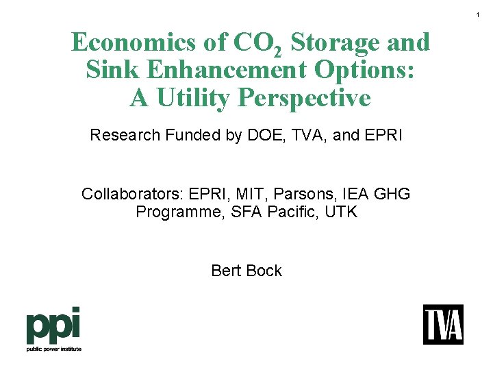 1 Economics of CO 2 Storage and Sink Enhancement Options: A Utility Perspective Research