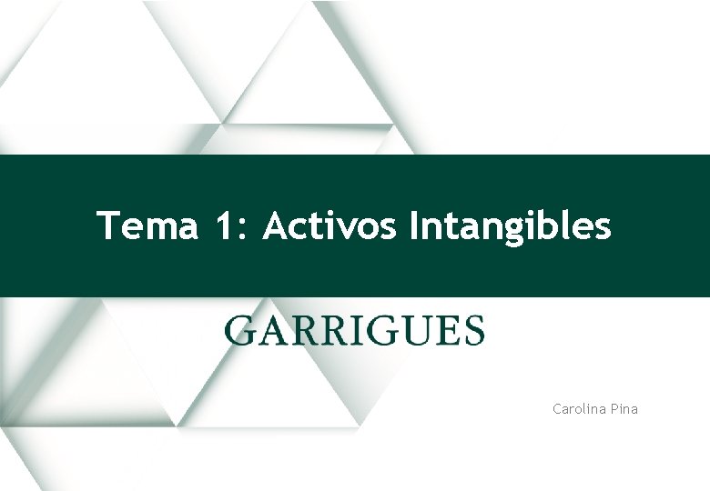 Tema 1: Activos Intangibles Carolina Pina OTRAS MARCAS / OTHER LOGOS 