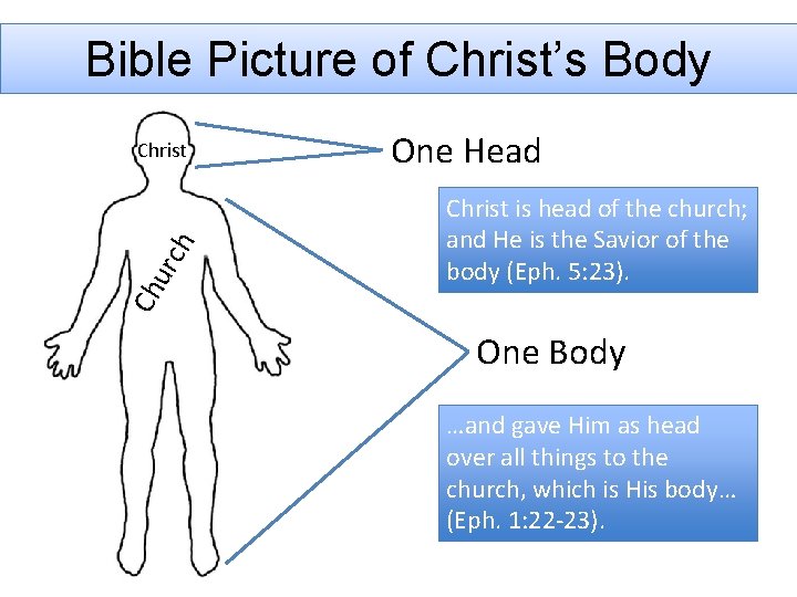 Bible Picture of Christ’s Body One Head Christ is head of the church; and