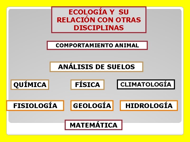 ECOLOGÍA Y SU RELACIÓN CON OTRAS DISCIPLINAS COMPORTAMIENTO ANIMAL ANÁLISIS DE SUELOS QUÍMICA FÍSICA