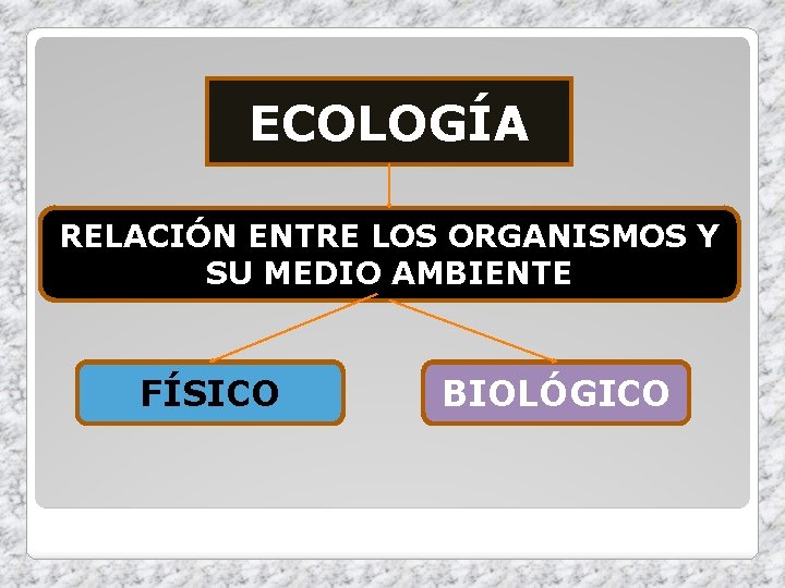 ECOLOGÍA RELACIÓN ENTRE LOS ORGANISMOS Y SU MEDIO AMBIENTE FÍSICO BIOLÓGICO 